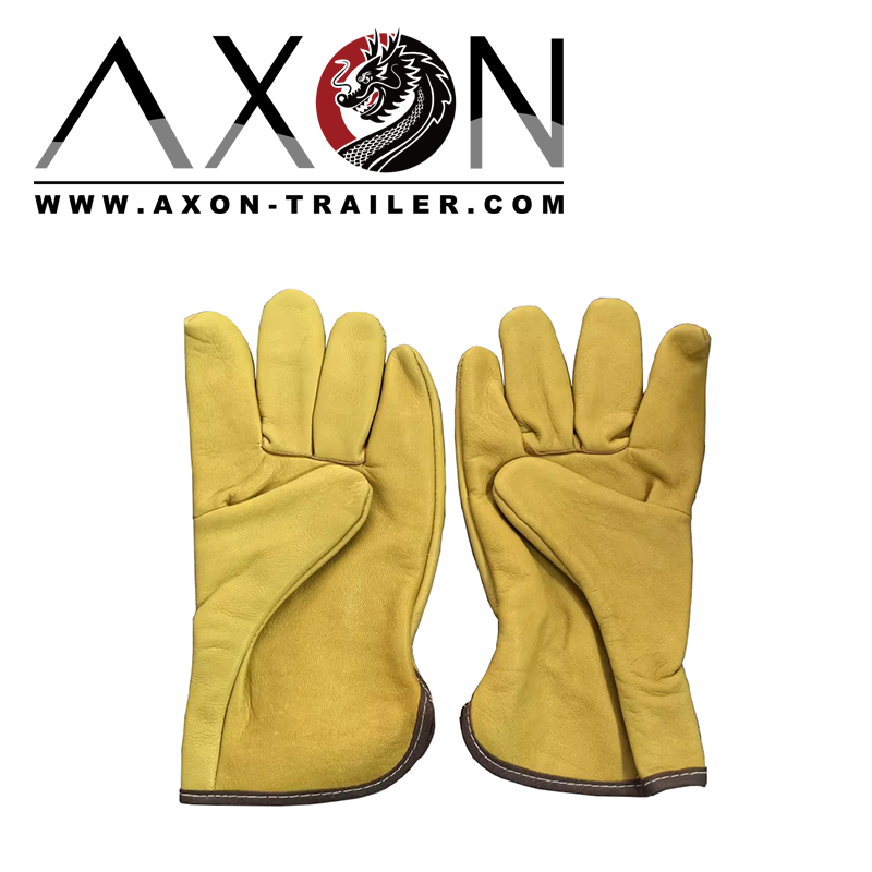 AXON-GLOVE-00135