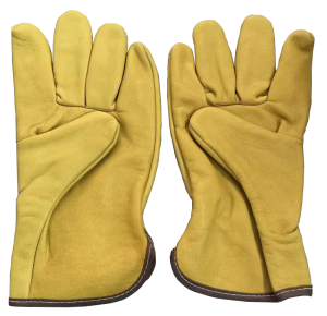 AXON-GLOVE-00135