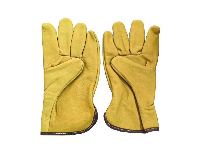 AXON-GLOVE-00135